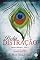 Livro Bela distração - Irmãos Maddox - vol. 1
