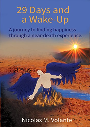 29 Days and a Wake Up: A journey to finding happiness through a near-death experience.