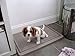 UGODOG Indoor Dog Potty