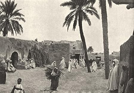 Argelia: Biskra. Oasis de Sidi Okba; Antique Print 1895 ...