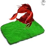 Betta Carpet by Luffy – Lush Green Landscape in Aquarium - Natural Habitat for Betta - Create a Moss Carpet - Thrive with Minimal Care
