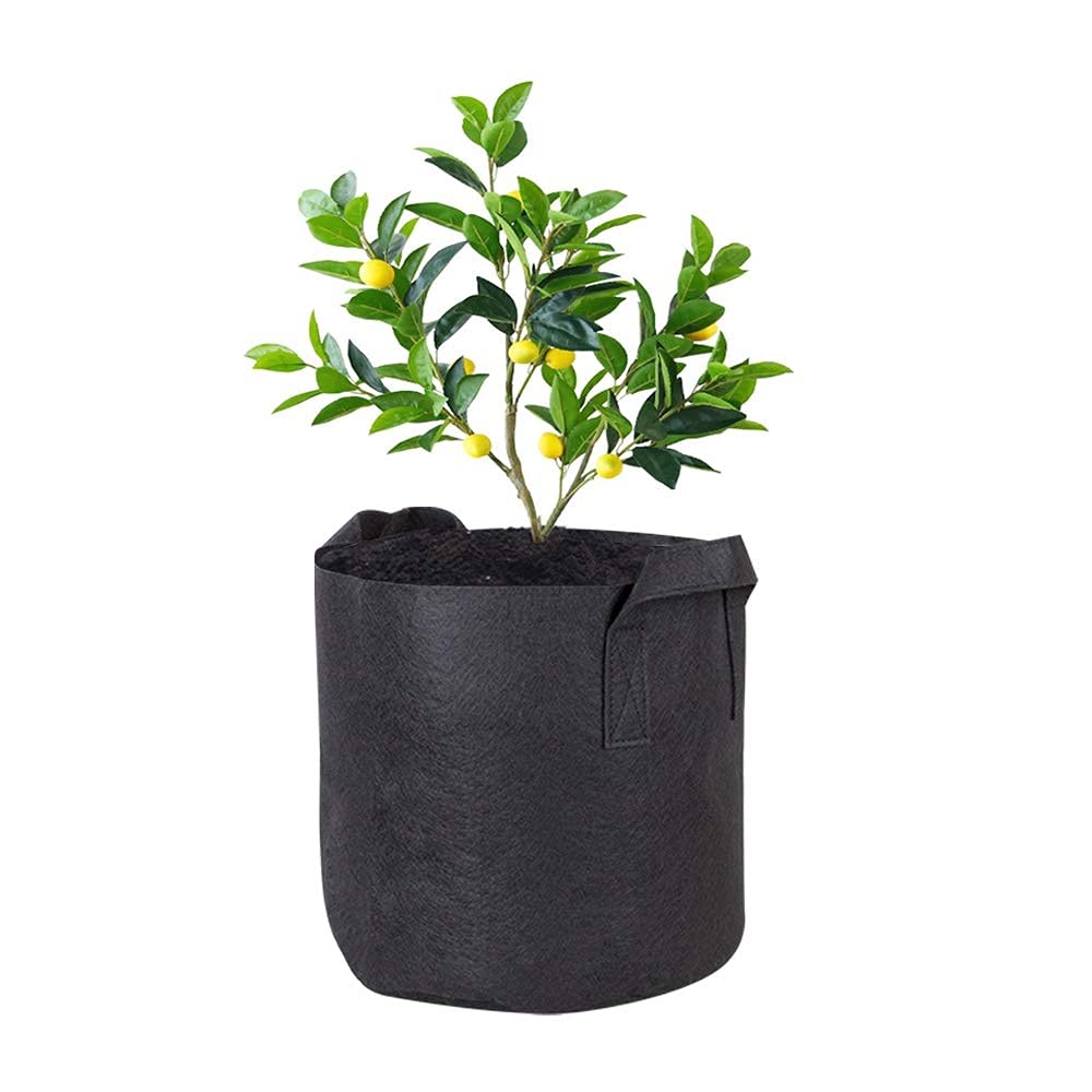 YOFASEN Black Plant Growing Bags - Environmentally Friendly Felt 5 Gallonlon Plant Bags Reusable Vegatable Breeding Planting Pot Container Indoor Outdoor, black, 19L / 5 Gallon (3PC)