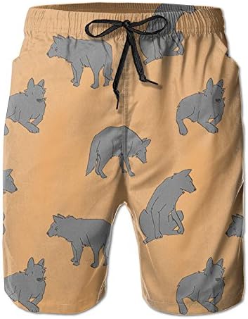 Mens Trendy Beach Shorts Swim Trunks/wolf