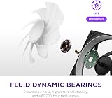 NZXT F280 RGB Core 280mm Single-Frame Fan Unit with 2 x 140mm RGB Fans view 5