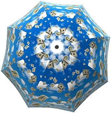 La Bella UmbrellaTravel Umbrella for Men - Lightweight Rain Umbrella - Funny Design Raining Money Umbrella Blue Sky - Auto Open Close - Compact Portable Umbrella - Small Folding Umbrella