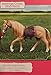 Lori Doll American Cream Draft Horse for 6 inch Lori Dolls