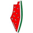 BBASILIYSD Cute Palestine Watermelon Pins,Fruit Shaped Palestine Brooch Pin,Free Palestine Brooches,Lapel Palestine National Badge,Palestine National Badge Souvenir