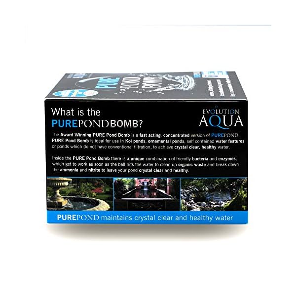 Evolution Aqua Pure Pond Bomb – for Crystal Clear Healthy Water, Treats up to 20,000 litres