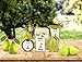 Luxury Spa Gift Basket, PURE Spa Basket -Bath and Body Gift Set. Pear Bath Set Includes Bubble Bath, Body Scrub, Shower Gel, more! #1 Gift Baskets for Women! (Large)