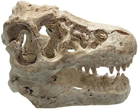 New Resin Crocodile Skull Fish Decor Tank Ornament Aquarium Decoration Landscaping Set17