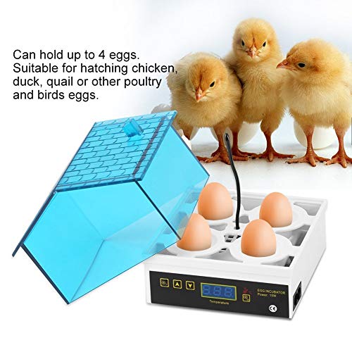 Ei-Inkubator,Ei-Inkubator Huhn Ente Goose Egg Incubators Digital Poultry Hatch Temperatur and Humidity Control Küken Hatcher Surfaces Brooding Apparatus – Bild 3