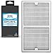 Home Revolution Replacement HEPA Filter, Fits Idylis IAP-10-200 and IAP-10-280 Air Purifiers and Type C Parts 0412555 and IAF-H-100C