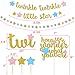 Twinkle Twinkle Little Star Party Decor Gender Reveal Birthday Party Decorations Pinkk Blue Gold Star Banner Cake Topper Balloons Moon and Star Boy or Girl He or She Baby Shower Supplies
