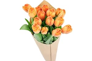 Stargazer Barn - 15 Stem Orange Tulips (Vase Not Included) - Fresh Flowers for Delivery - Gift for Anniversary, Birthday, Congratulations, Get Well, Graduation, Sympathy