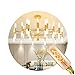 SooFoo E12 Candelabra Light Bulbs, Vintage Chandelier Edison Light Bulbs, 60W, 120V, 320 Lumen, Mini Tube Shape Dimmable Decorative Incandescent Bulb