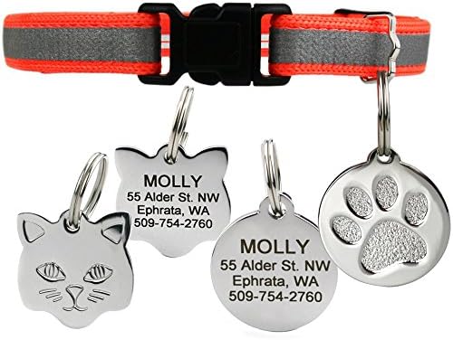 GoTags Reflective Cat Collar with Personalized ID Tag in Stainless Steel, Breakaway Cat Collar with Bell and Custom Engraved Cat Tag with up to 4 Lines of Custom Text, (Orange)