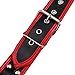 iiniim Men's Faux Leather Body Chest Harness Belt with Buckles D-Rings Adjustable (One Size, Black&Red #2)