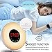 Radio Sunrise Alarm Clock, AK1980 Wake Up Light with 7 Colors Nature Sounds Snooze Function for Kids Teens Girls