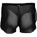 FEESHOW Men's Soft Sheer Mesh Boxer Briefs Shorts Underwear Swim Trunks Black Large(Waistline 27.5-44.0