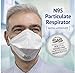 SAS Safety N95 NIOSH Approved Particulate Respirator Surgical Face Mask, Pack of 10 Individually Hygienically Sealed Masks