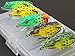 wLure 5 Hollow Body Topwater Frogs Fishing Lures Baits with Free Tackle Box 2 1/5 Inch 3/8 Oz FG43KBUS