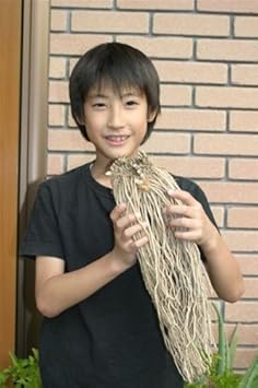 Amazon 宿根びっくりアスパラ グリーンアスパラ 特大大株1株 一般表示サイズは超大株２l 品種 ウエルカム 新潟県産 花