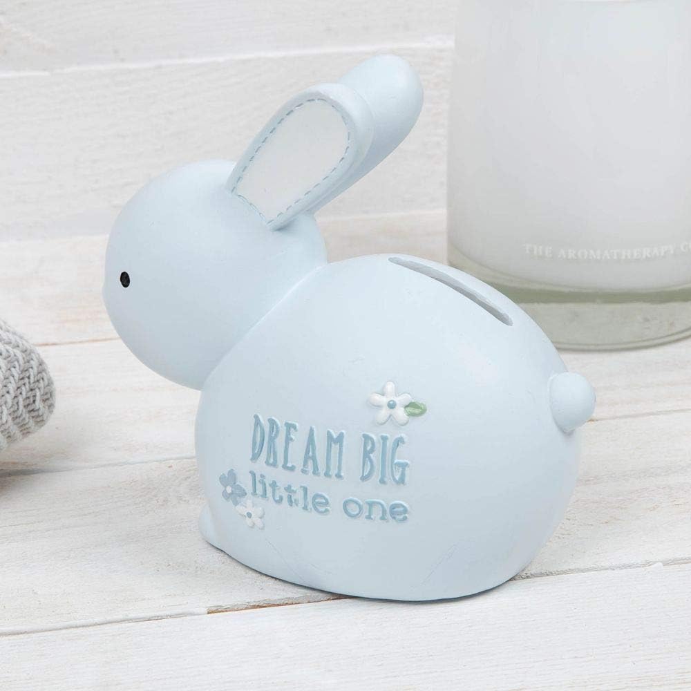 Dream Big Belle Tirelire Bebe Garcon Lapin Petit Cherie Tirelires Cuisine Maison Schoolofbabywearing Com