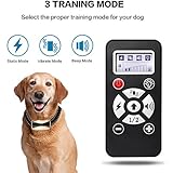 RH [2018 Upgrade Version] Upgrade 800Yards Rechargeable Dog Training Collar with Shock/Vibration/Tone,Usefull and Safety Remote Control Collar for dogs