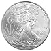 2009-1 Ounce American Silver Eagle Low Flat Rate Shipping .999 Fine Silver Dollar Uncirculated US Mint