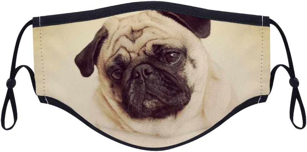 Reusable Dust Face Protection with 4 Pcs Activated Carbon Filters, Pug Dog Unisex Fashion Mouth Cover Adjustable Breathable Washable