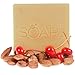 Cherry Almond Natural Soap with Coconut Oil 5oz (1 Pack)