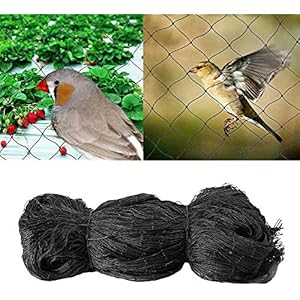 Ram-Black-4M-X-10M-Vegetable-Plant-Netting-Garden-Net-Plant-Protection-Garden-Netting-Pest-Control Ram© Black 4M X 10M Vegetable Plant Netting Garden Net Plant Protection Garden Netting Pest Control