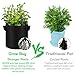 VEEAPE 5-Pack 10 Gallon Plant Grow Bags, Premium Series Thichkened Non-Woven Aeration Fabric Pots w/Handles – Reinforced Weight Capacity & Extremely Durablethumb 4