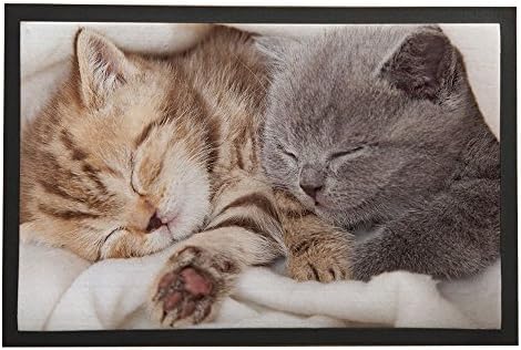Asawood Doormat Two Sleeping Cats Anti-Slip Rubber Backed Indoor Entry Doormat 24" x 36" inches