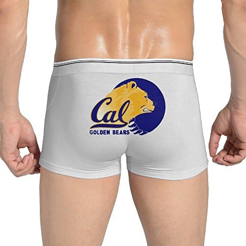 Male Ohio State Golden Bears Tech Performance Boxer Brief Powerflex