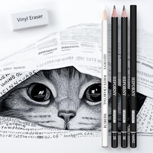Lot de 46 crayons à dessin pour croquis, crayons à dessin, fournitures d'art avec crayons à charbon de couleurs, graphite, charbon, outils de mélange, accessoires, kit de dessin pour