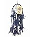 Dremisland Dream Catcher Handmade Traditional White Feather Wall Hanging Car Hanging Home Decoration Ornament Decor Ornament Craft Gift (Black)