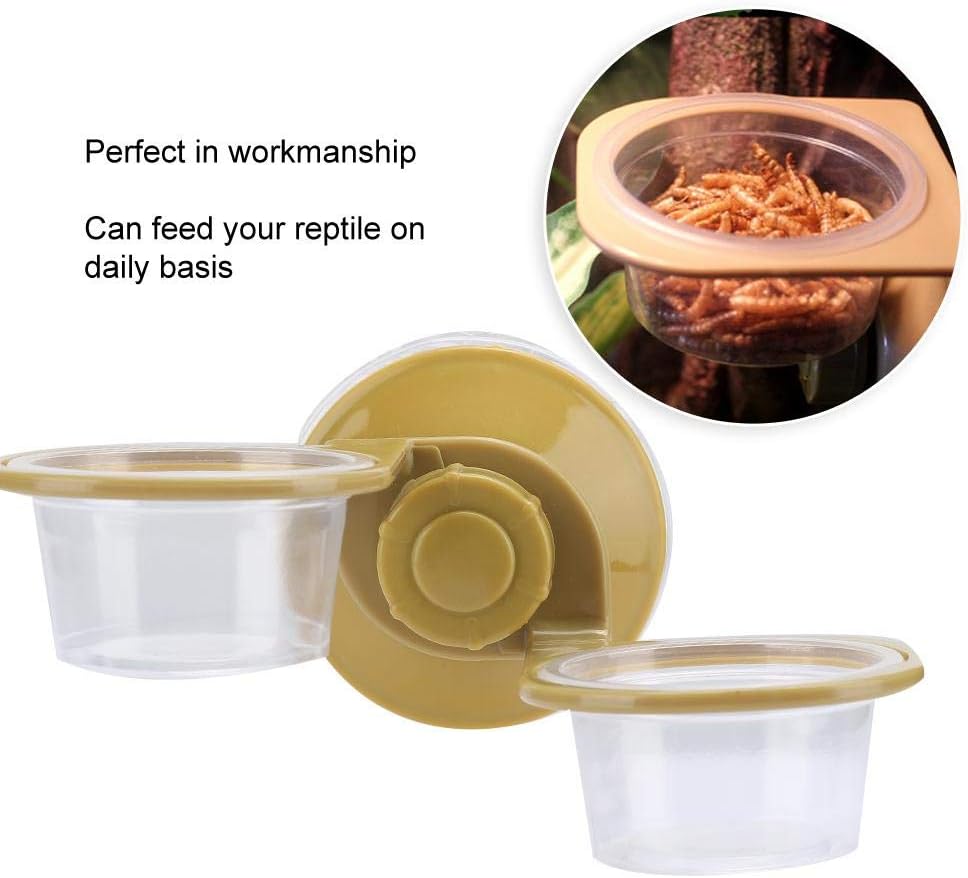 Reptile Feeder Bowl - Image 5
