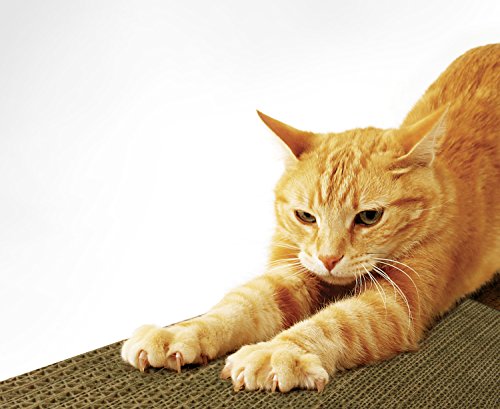SmartyKat Super Scratcher+ Cat Scratcher Extra Large Corrugated Catnip Scratcher