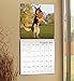 German Shepherds Wall Calendar (2017)
