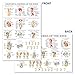 Palace Learning Laminated Anatomy and Injuries of the Knee Poster - Knee Joint Anatomical Chart - 18