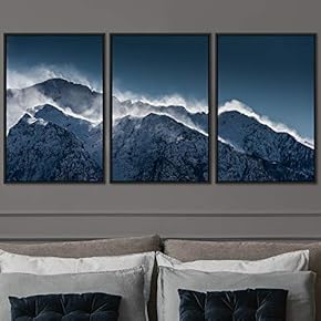 signwin 3 Piece Framed Canvas Wall Art Snow...