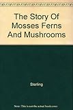 The Story Of Mosses Ferns And Mushrooms
