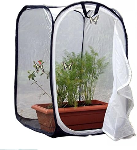 Butterfly Cage/terrarium Pop-up