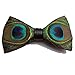 Novelty Feather Bow Tie Natural Material Bowtie (Peacock)