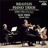 ブラームス:ピアノ三重奏曲第1番&第2番&第3番