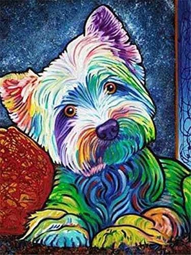 Amazon Co Jp ダイヤモンド絵画動物アイコンダイヤモンド刺繡ダイヤモンドハイグリッド画像フルスクエアダイヤモンド刺繡写真装飾ギフトスクエア40x50cm ホーム キッチン