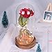 sexyrobot Beauty and the Beast Red Rose, Silk Flower with LED Light in a Glass Dome for Home Decor Holiday Party Wedding Anniversary Birthday Valentine's Day Gift