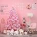 Sea Team Shatterproof Clear Plastic Christmas Ball Ornaments Decorative Xmas Balls Baubles Set with Stuffed Delicate Decorations (70mm/2.76 inch 24-Pack, Pink)