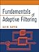 Fundamentals of Adaptive Filtering